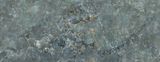  Labradorite Verde Elite - Elite Collection 