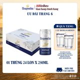 Bia Hoegaarden White Thùng 24 Lon 250ml Chính Hãng Mới
