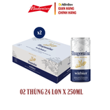 Combo 2 Thùng 24 Lon Bia Hoegaarden white bỉ thùng 24 lon (250ml/lon)