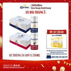 Thùng 24 Lon Bia Hoegaarden white bỉ thùng 24 lon (250ml/lon) và Thùng 24 Lon Bia Hoegaarden Rosée (250ml/lon)