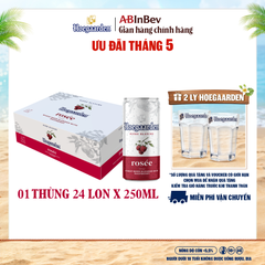 Bia Hoegaarden Rosée Thùng 24 Lon 250ml Chính Hãng