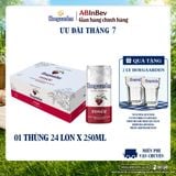 Bia Hoegaarden Rosée Thùng 24 Lon 250ml Chính Hãng