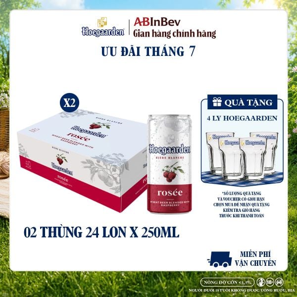 Combo 2 Thùng 24 Lon Bia Hoegaarden Rosée (250ml/lon) - Sản Phẩm Mới