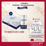 Combo 2 Thùng 24 Lon Bia Hoegaarden white bỉ thùng 24 lon (250ml/lon)