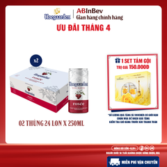 Combo 2 Thùng 24 Lon Bia Hoegaarden Rosée (250ml/lon) - Sản Phẩm Mới