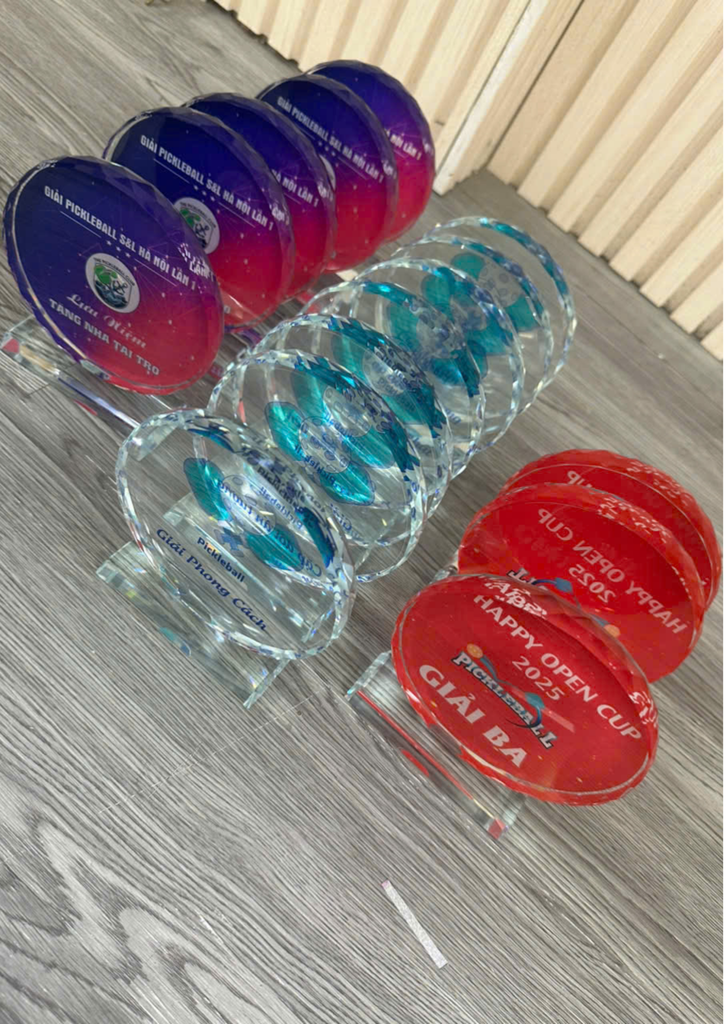 Kỷ Niệm Chương Pickleball, Thể Thao Cao Cấp Mã K01  – Tùy Biến Cho Mọi Môn Thi Đấu