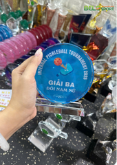 Kỷ Niệm Chương Pickleball, Thể Thao Cao Cấp Mã K01  – Tùy Biến Cho Mọi Môn Thi Đấu