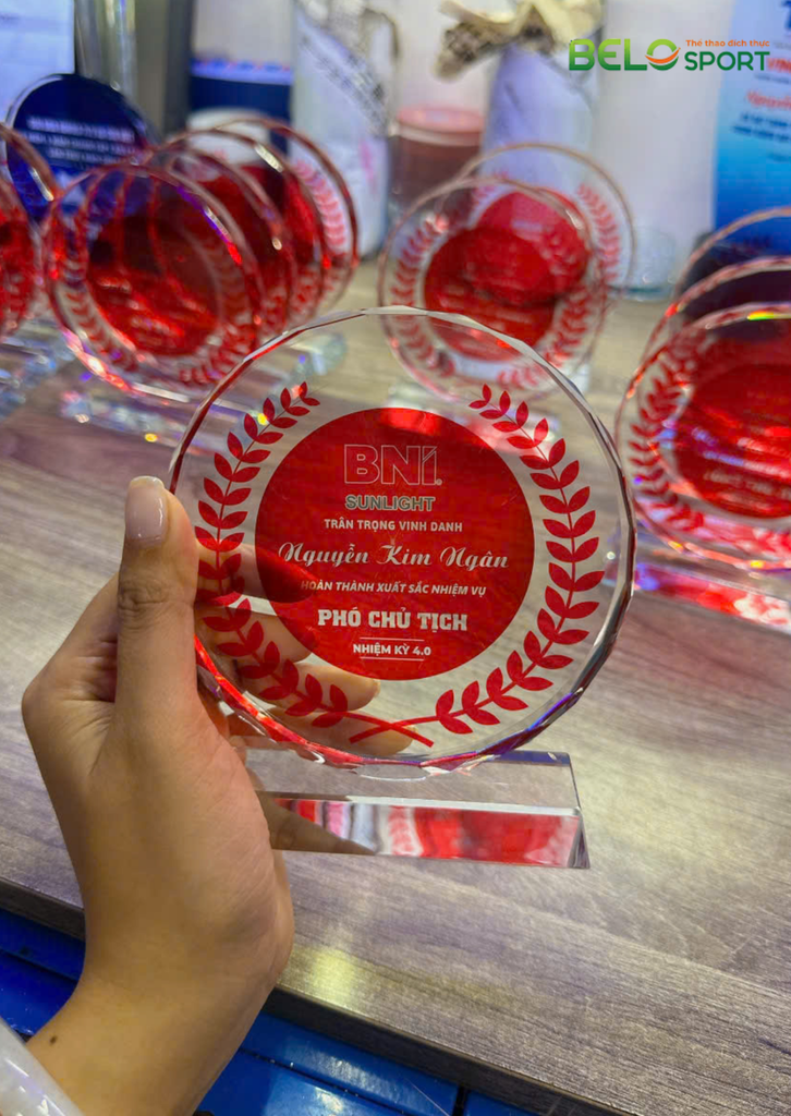 Kỷ Niệm Chương Pickleball, Thể Thao Cao Cấp Mã K01  – Tùy Biến Cho Mọi Môn Thi Đấu