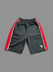 Quần Đùi Quần Short Thể Thao Hiwing Môn Đẩy Gậy Màu Xanh Loại Tốt - Vải Dày - Căng