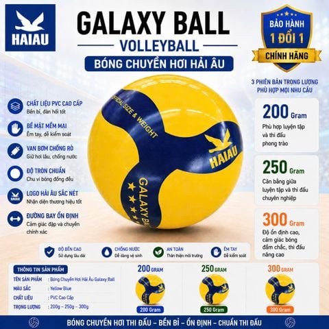 Quả Bóng Chuyền Hơi Hải Âu Galaxy
