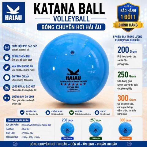Quả Bóng Chuyền Hơi Hải Âu Arena Ball Màu Xanh