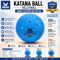 Quả Bóng Chuyền Hơi Hải Âu Arena Ball Màu Xanh