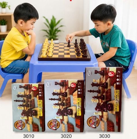 Bộ Cờ Vua Quốc Tế 3010
