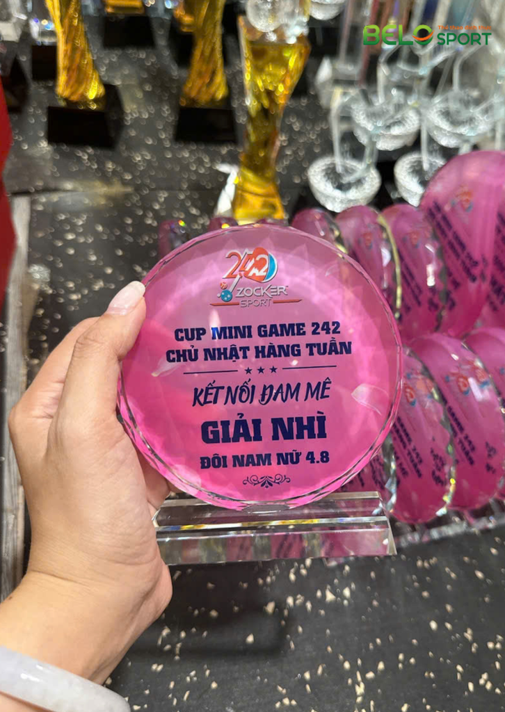 Kỷ Niệm Chương Pickleball, Thể Thao Cao Cấp Mã K01  – Tùy Biến Cho Mọi Môn Thi Đấu