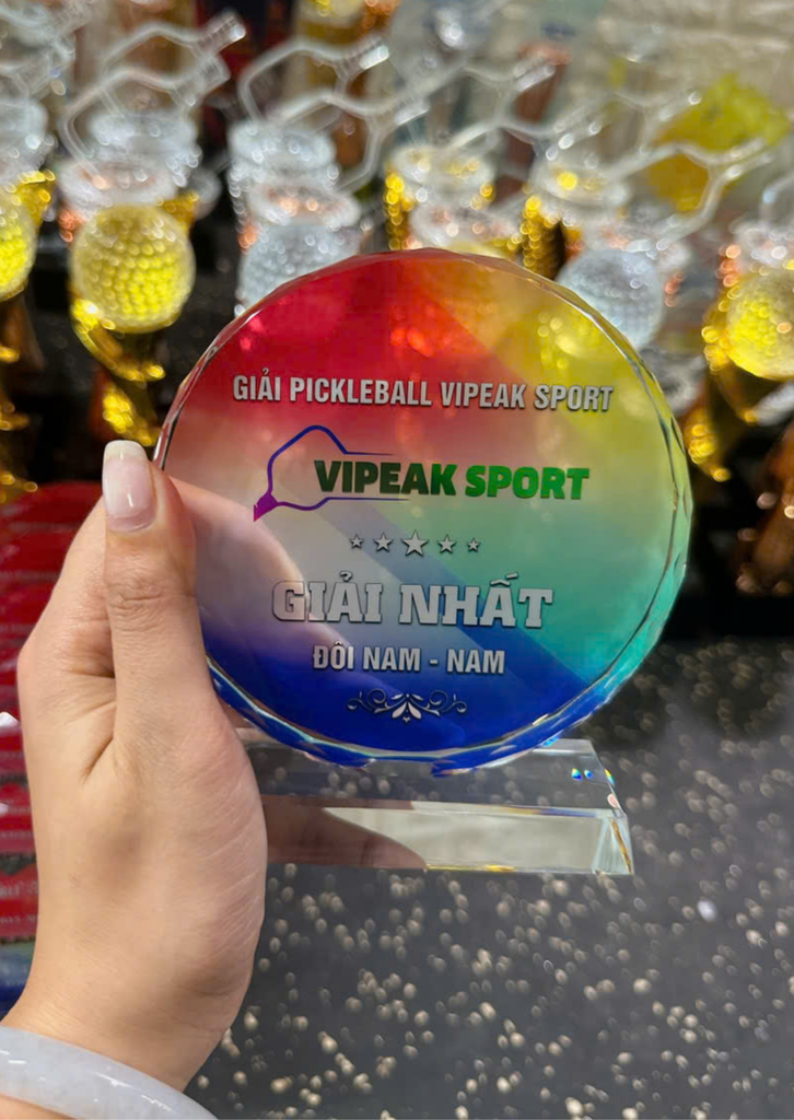 Kỷ Niệm Chương Pickleball, Thể Thao Cao Cấp Mã K01  – Tùy Biến Cho Mọi Môn Thi Đấu