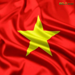 Cờ Việt Nam, Cờ Tổ Quốc, Cờ Đảng Cao Cấp –  Vải Bền Đẹp