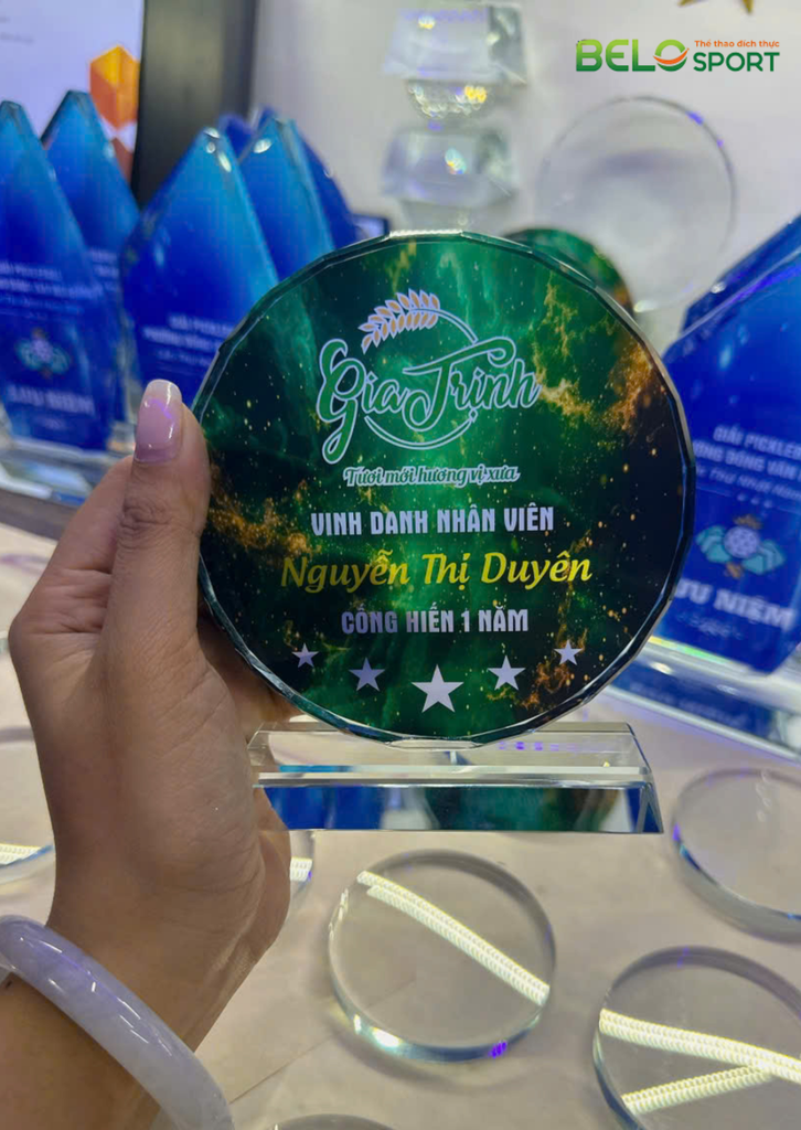 Kỷ Niệm Chương Pickleball, Thể Thao Cao Cấp Mã K01  – Tùy Biến Cho Mọi Môn Thi Đấu