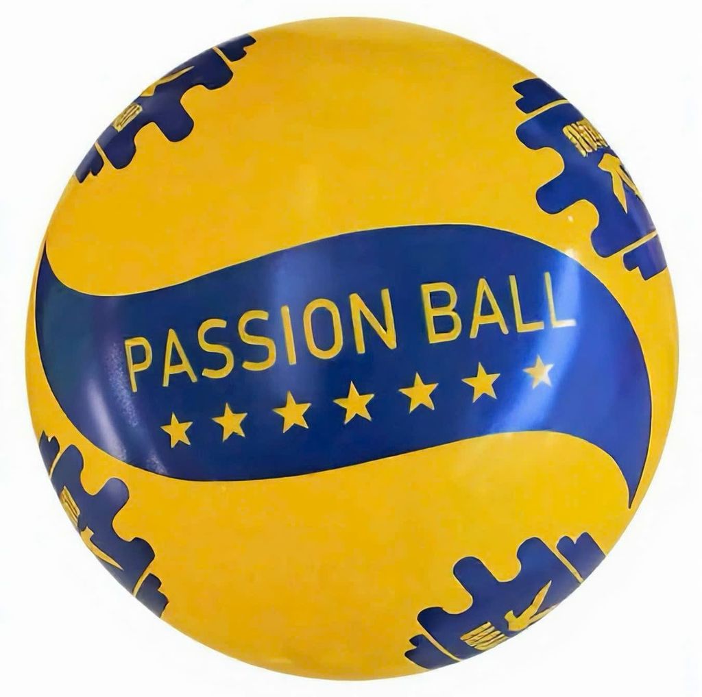 Bóng Chuyền Hơi Hải Âu Passion 200,250,300gram Chính Hãng