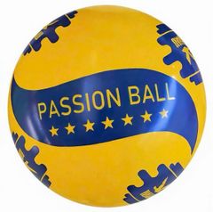 Bóng Chuyền Hơi Hải Âu Passion 200,250,300gram Chính Hãng