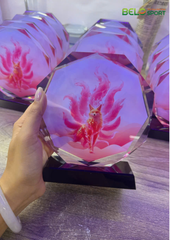 Kỷ Niệm Chương Pickleball, Thể Thao Cao Cấp Mã K02  – Tùy Biến Cho Mọi Môn Thi Đấu