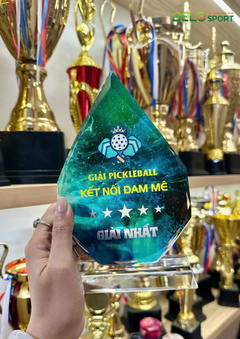Kỷ Niệm Chương Pickleball, Thể Thao Cao Cấp Mã K03  – Tùy Biến Cho Mọi Môn Thi Đấu