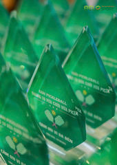 Kỷ Niệm Chương Pickleball, Thể Thao Cao Cấp Mã K03  – Tùy Biến Cho Mọi Môn Thi Đấu