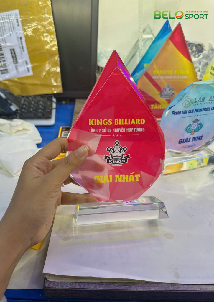 Kỷ Niệm Chương Pickleball, Thể Thao Cao Cấp Mã K03  – Tùy Biến Cho Mọi Môn Thi Đấu