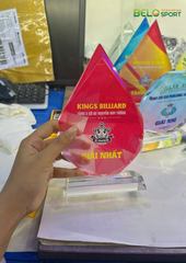 Kỷ Niệm Chương Pickleball, Thể Thao Cao Cấp Mã K03  – Tùy Biến Cho Mọi Môn Thi Đấu