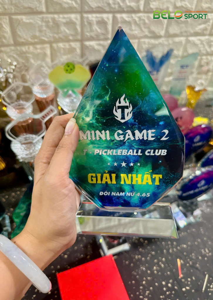 Kỷ Niệm Chương Pickleball, Thể Thao Cao Cấp Mã K03  – Tùy Biến Cho Mọi Môn Thi Đấu