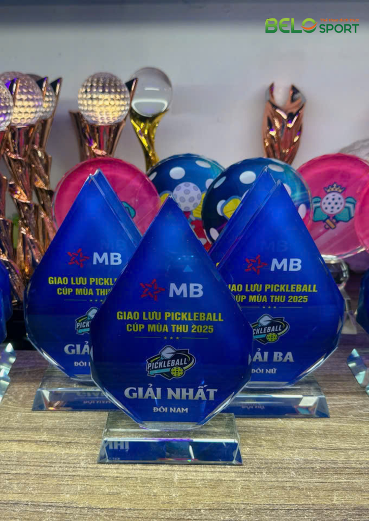 Kỷ Niệm Chương Pickleball, Thể Thao Cao Cấp Mã K03  – Tùy Biến Cho Mọi Môn Thi Đấu