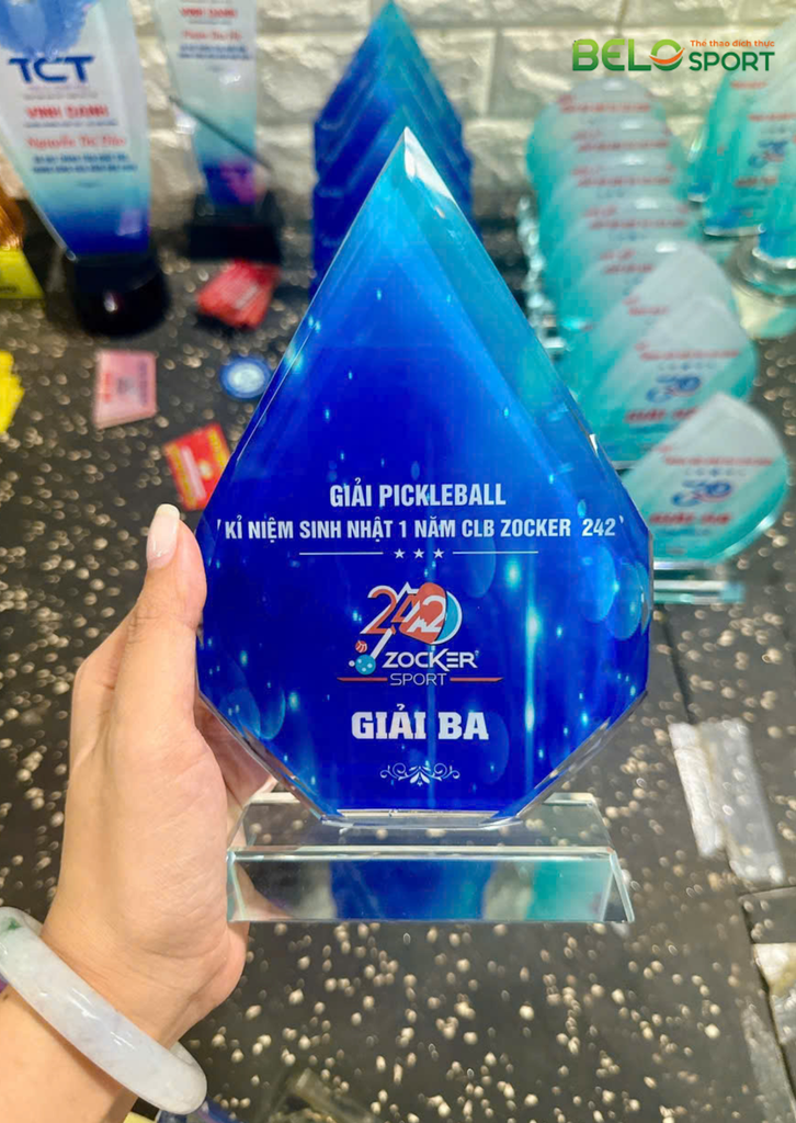 Kỷ Niệm Chương Pickleball, Thể Thao Cao Cấp Mã K03  – Tùy Biến Cho Mọi Môn Thi Đấu