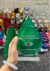 Kỷ Niệm Chương Pickleball, Thể Thao Cao Cấp Mã K03  – Tùy Biến Cho Mọi Môn Thi Đấu