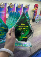 Kỷ Niệm Chương Pickleball, Thể Thao Cao Cấp Mã K03  – Tùy Biến Cho Mọi Môn Thi Đấu