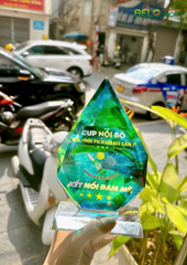 Kỷ Niệm Chương Pickleball, Thể Thao Cao Cấp Mã K03  – Tùy Biến Cho Mọi Môn Thi Đấu