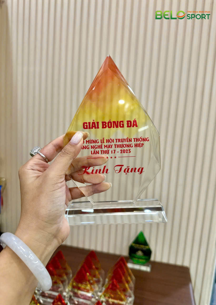 Kỷ Niệm Chương Pickleball, Thể Thao Cao Cấp Mã K03  – Tùy Biến Cho Mọi Môn Thi Đấu