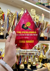 Kỷ Niệm Chương Pickleball, Thể Thao Cao Cấp Mã K03  – Tùy Biến Cho Mọi Môn Thi Đấu
