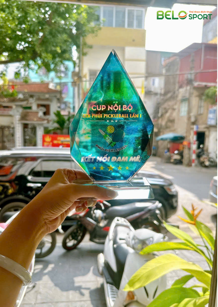 Kỷ Niệm Chương Pickleball, Thể Thao Cao Cấp Mã K03  – Tùy Biến Cho Mọi Môn Thi Đấu