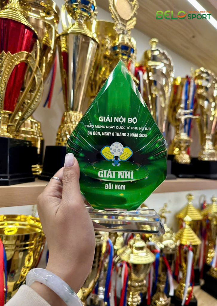 Kỷ Niệm Chương Pickleball, Thể Thao Cao Cấp Mã K03  – Tùy Biến Cho Mọi Môn Thi Đấu