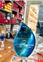 Kỷ Niệm Chương Pickleball, Thể Thao Cao Cấp Mã K04  – Tùy Biến Cho Mọi Môn Thi Đấu