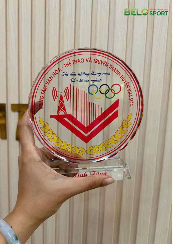 Kỷ Niệm Chương Pickleball, Thể Thao Cao Cấp Mã K01  – Tùy Biến Cho Mọi Môn Thi Đấu