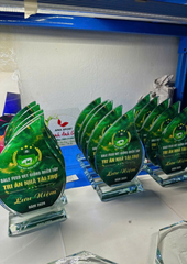 Kỷ Niệm Chương Pickleball, Thể Thao Cao Cấp Mã K04  – Tùy Biến Cho Mọi Môn Thi Đấu