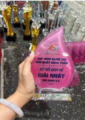 Kỷ Niệm Chương Pickleball, Thể Thao Cao Cấp Mã K04  – Tùy Biến Cho Mọi Môn Thi Đấu