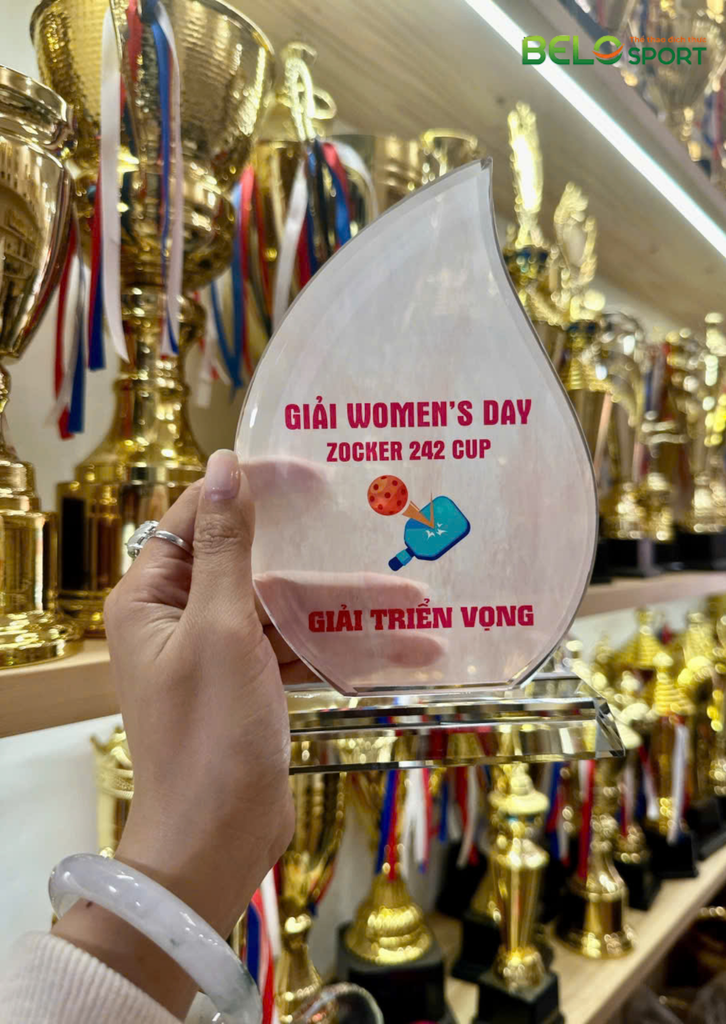 Kỷ Niệm Chương Pickleball, Thể Thao Cao Cấp Mã K04  – Tùy Biến Cho Mọi Môn Thi Đấu