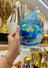 Kỷ Niệm Chương Pickleball, Thể Thao Cao Cấp Mã K04  – Tùy Biến Cho Mọi Môn Thi Đấu