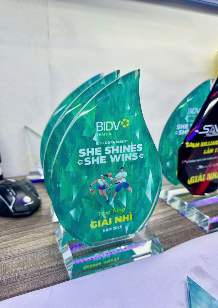 Kỷ Niệm Chương Pickleball, Thể Thao Cao Cấp Mã K04  – Tùy Biến Cho Mọi Môn Thi Đấu