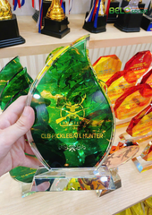 Kỷ Niệm Chương Pickleball, Thể Thao Cao Cấp Mã K04  – Tùy Biến Cho Mọi Môn Thi Đấu