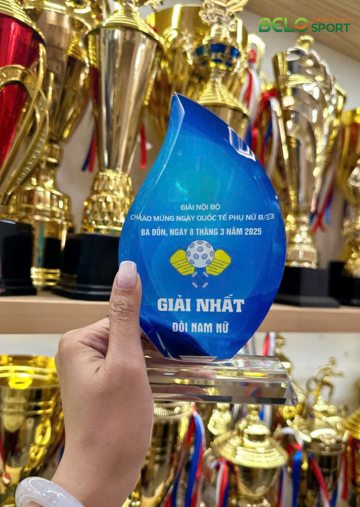 Kỷ Niệm Chương Pickleball, Thể Thao Cao Cấp Mã K04  – Tùy Biến Cho Mọi Môn Thi Đấu