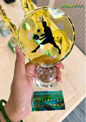 Kỷ Niệm Chương Pickleball, Thể Thao Cao Cấp Mã K05  – Tùy Biến Cho Mọi Môn Thi Đấu