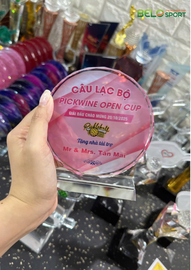 Kỷ Niệm Chương Pickleball, Thể Thao Cao Cấp Mã K01  – Tùy Biến Cho Mọi Môn Thi Đấu