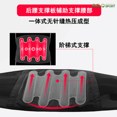 Đai Bảo Vệ Lưng Bốn Mùa 7981 Aolikes